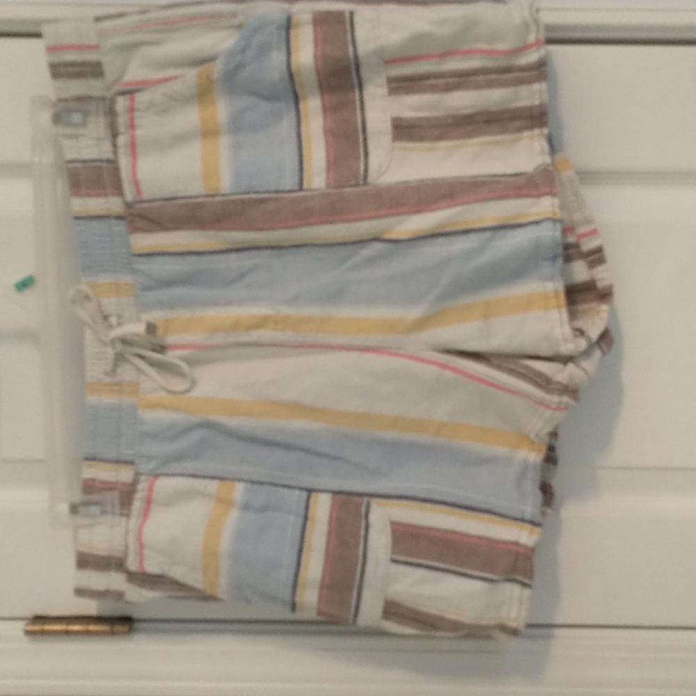 Time and Tru shorts